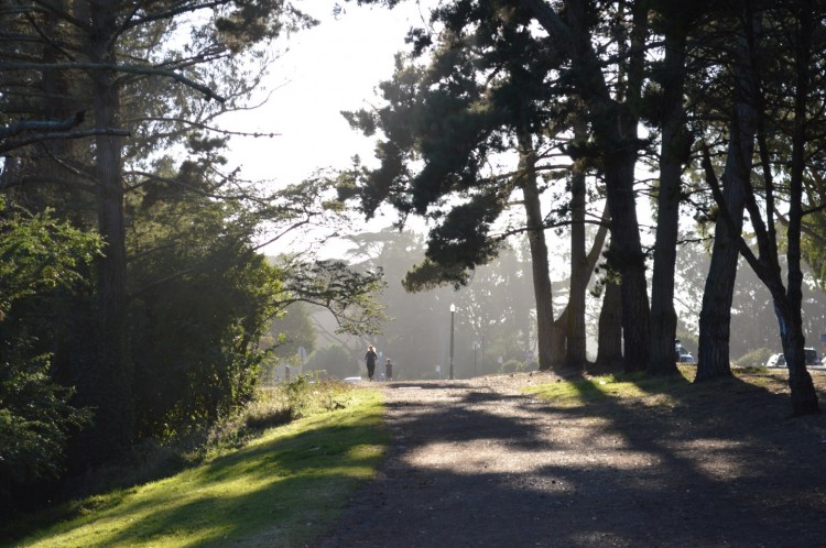 fin du golden gate park