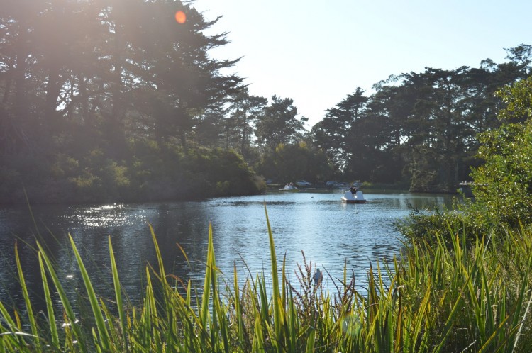 lac golden gate park