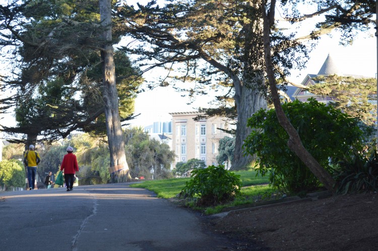 hayes valley - alamo square12